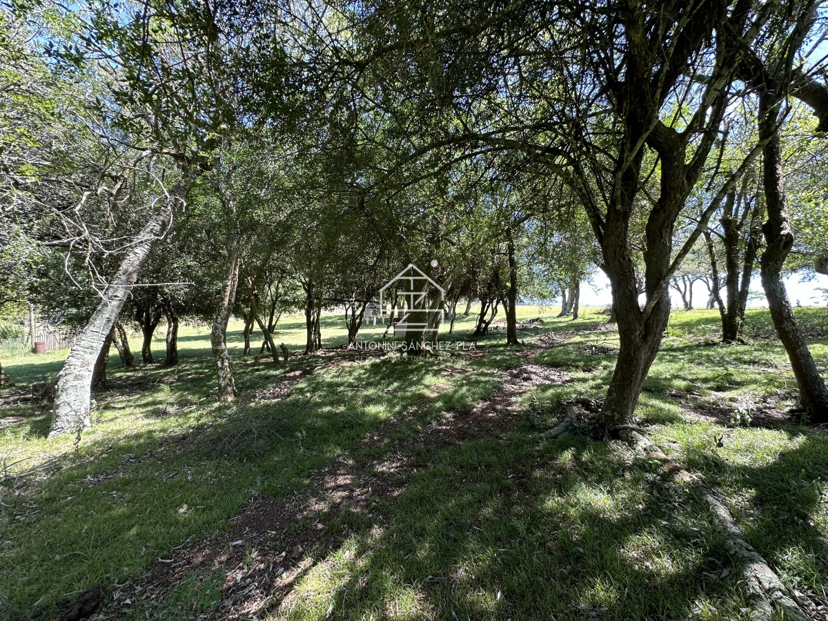 Chacra ID.4327 - Venta chacra en Pueblo Edén. Maldonado 