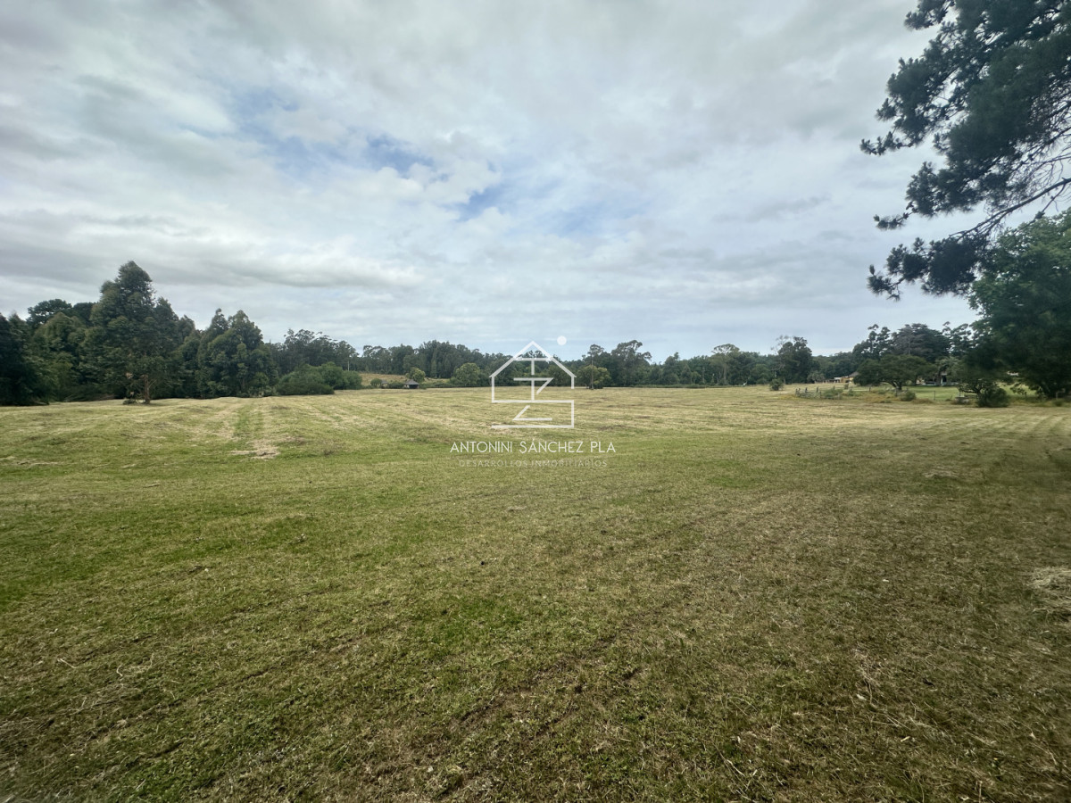 Chacra ID.4046 - Venta chacra en punta Ballena 