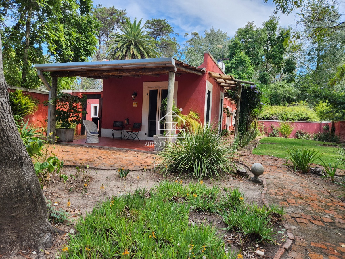 Chacra ID.3976 - Venta chacra tipo quinta, Punta Ballena 