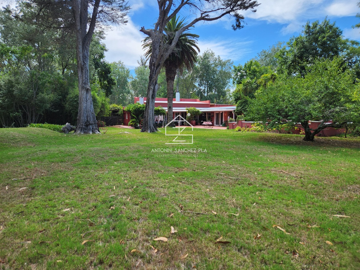 Chacra ID.3976 - Venta chacra tipo quinta, Punta Ballena 