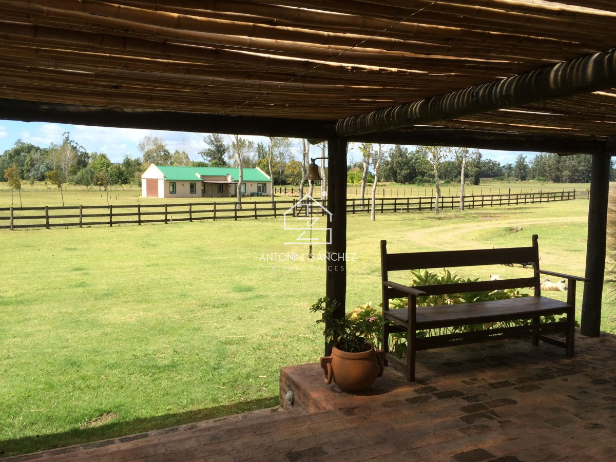 Chacra ID.5174 - 