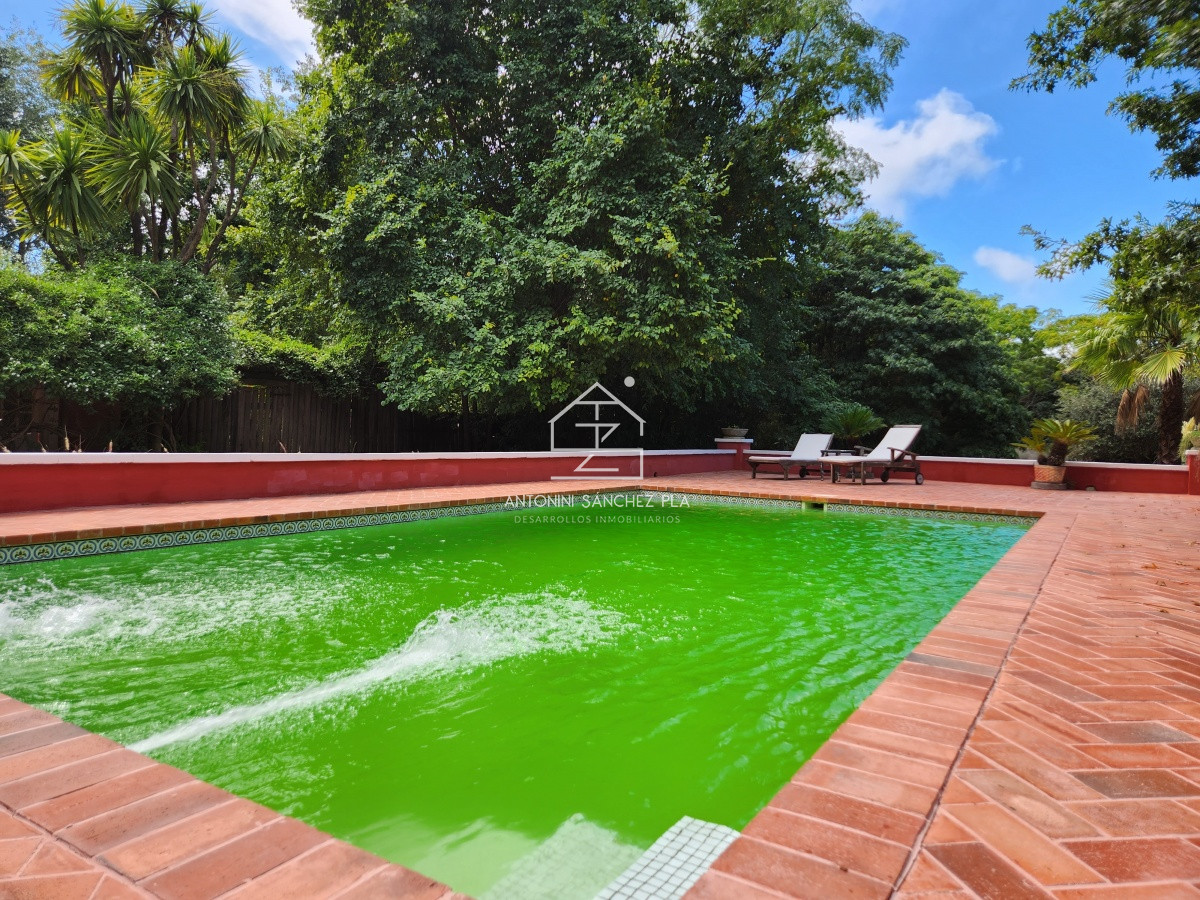 Chacra ID.3976 - Venta chacra tipo quinta, Punta Ballena 