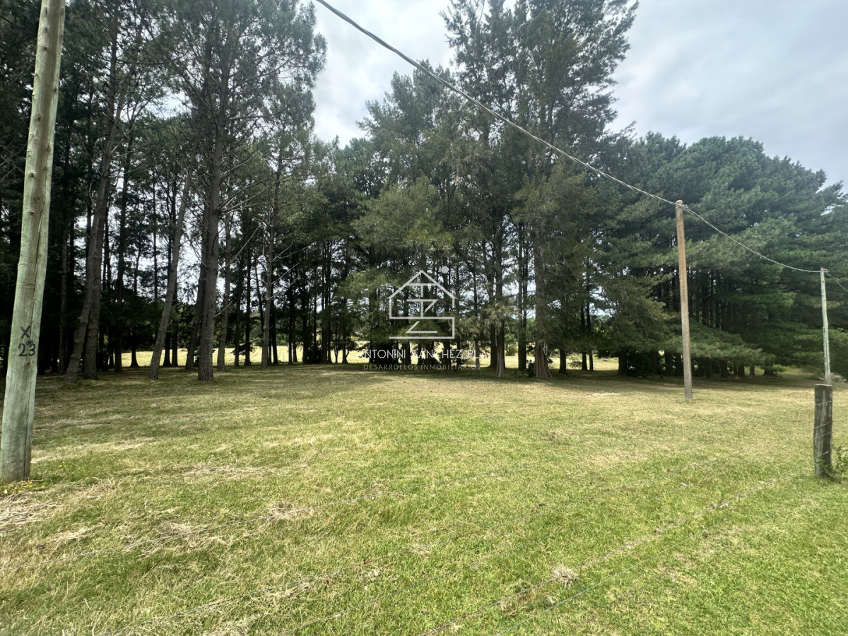 Chacra ID.4046 - Venta chacra en punta Ballena 