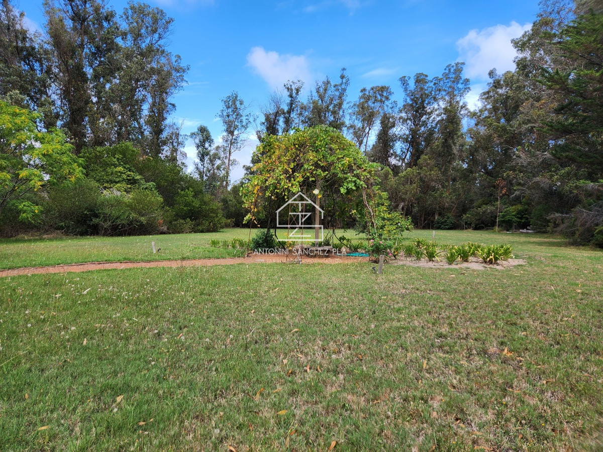Chacra ID.3976 - Venta chacra tipo quinta, Punta Ballena 