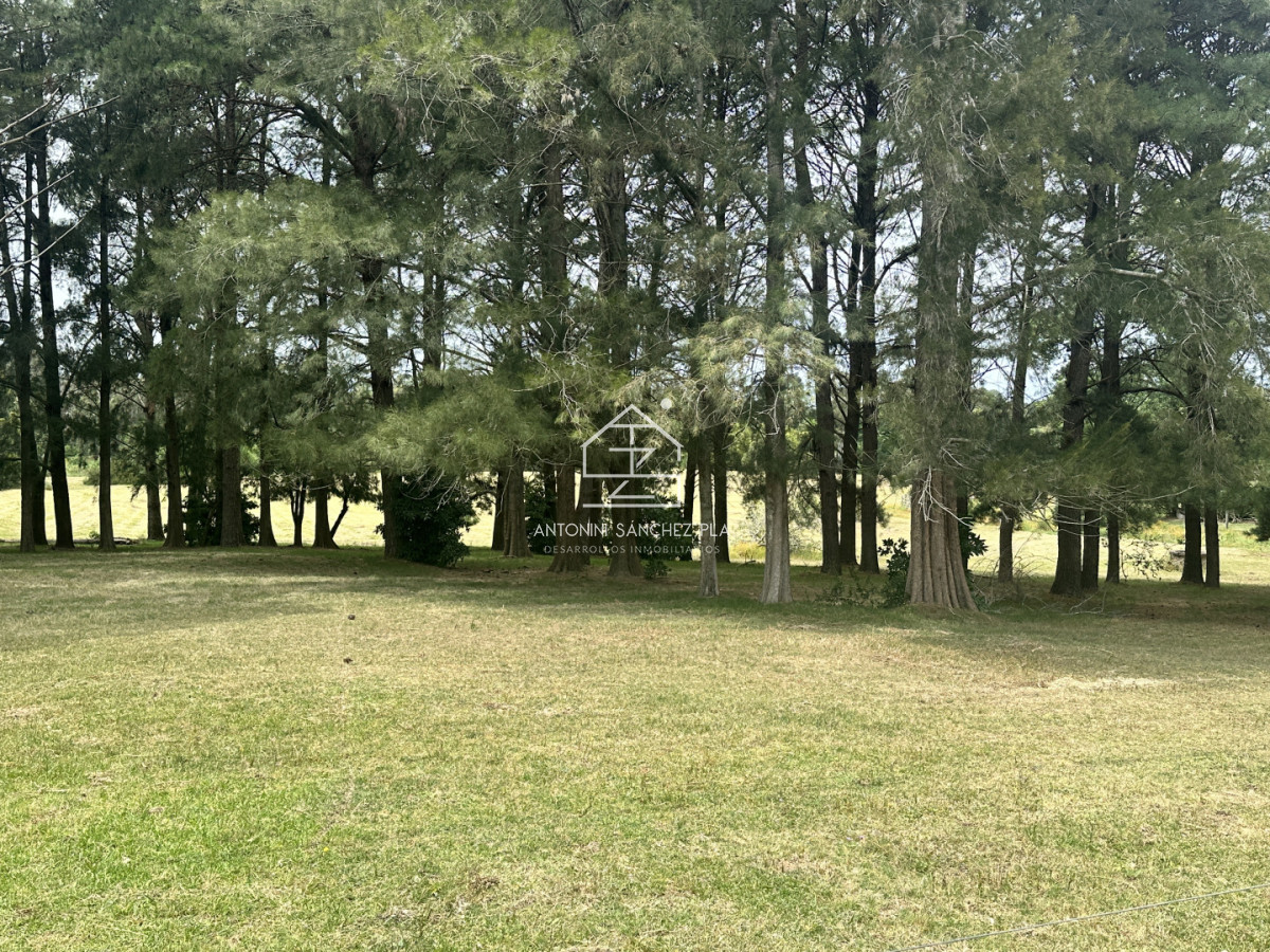 Chacra ID.4046 - Venta chacra en punta Ballena 