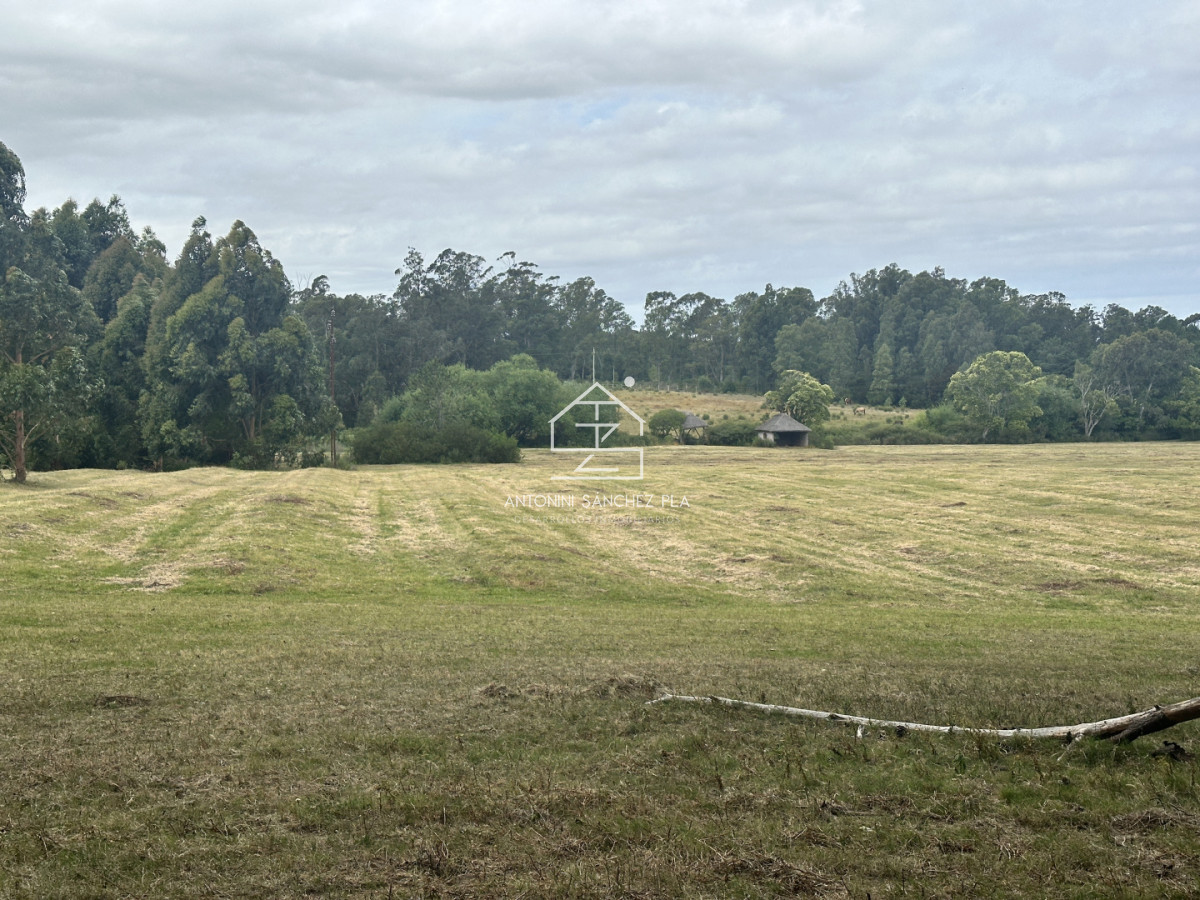 Chacra ID.4046 - Venta chacra en punta Ballena 