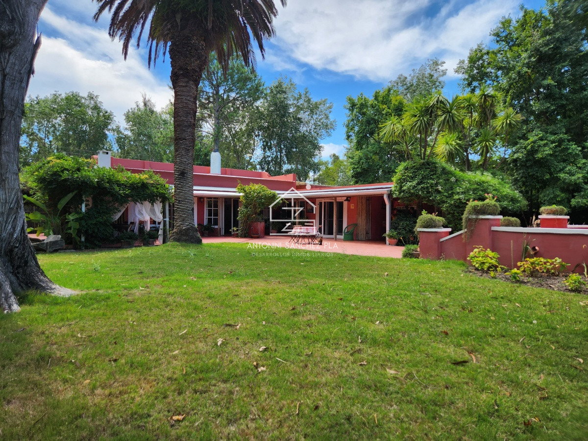 Chacra ID.3976 - Venta chacra tipo quinta, Punta Ballena 