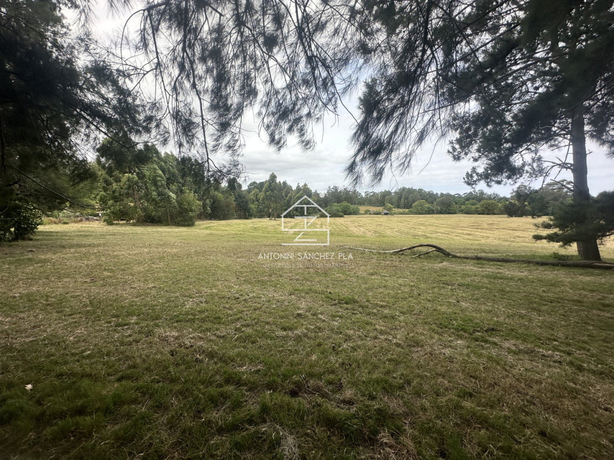 Chacra ID.4046 - Venta chacra en punta Ballena 