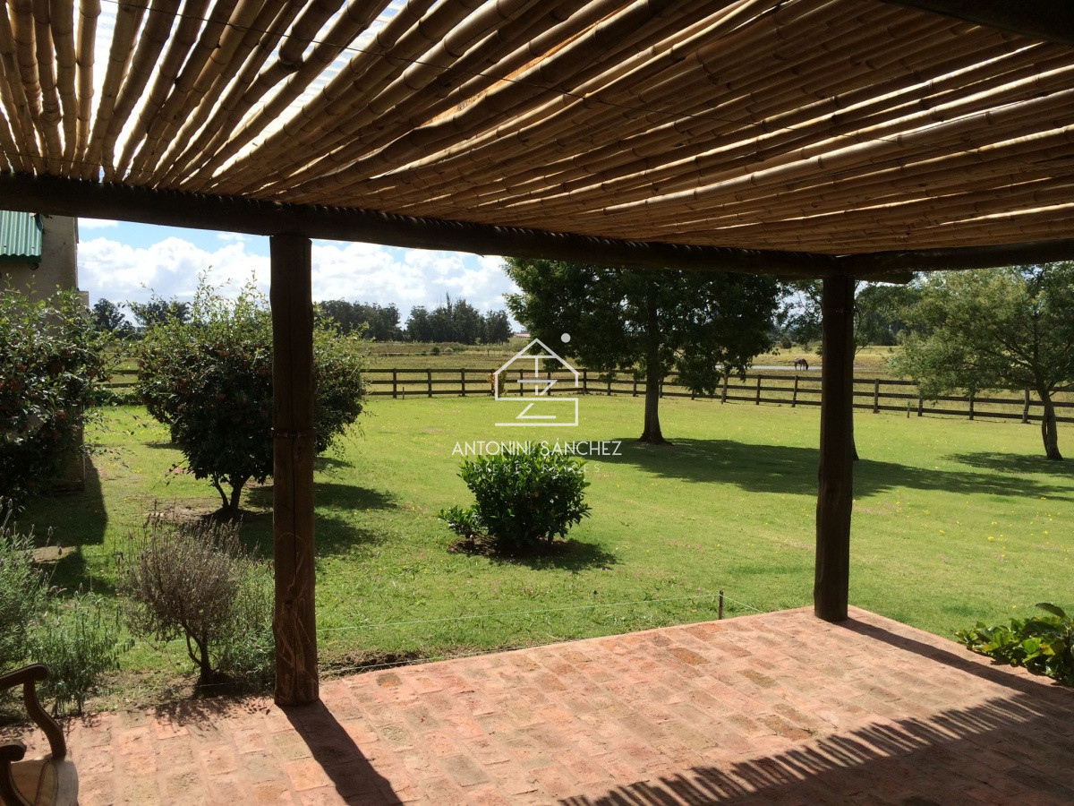 Chacra ID.5174 - 