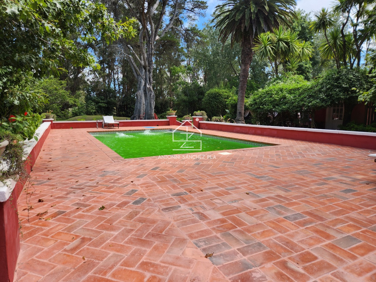 Chacra ID.3976 - Venta chacra tipo quinta, Punta Ballena 