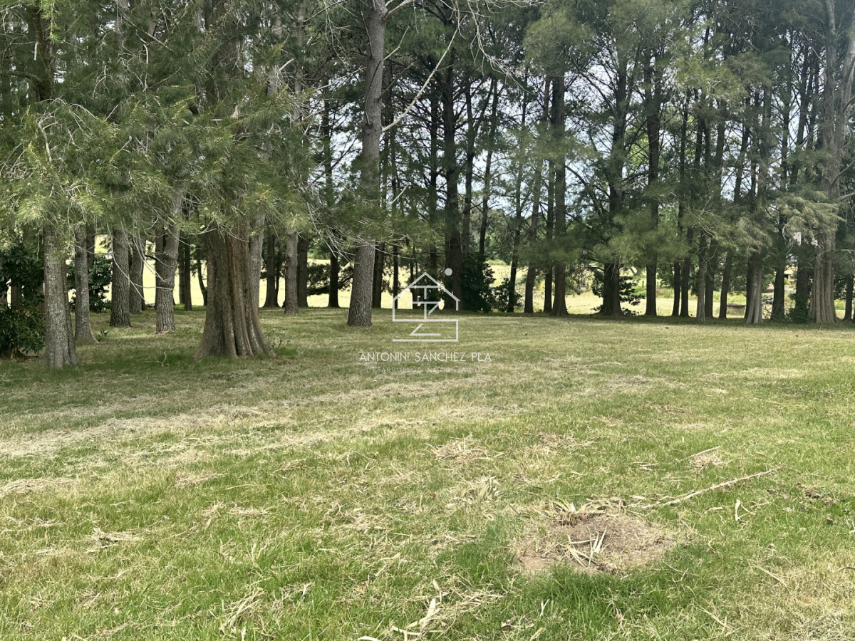 Chacra ID.4046 - Venta chacra en punta Ballena 