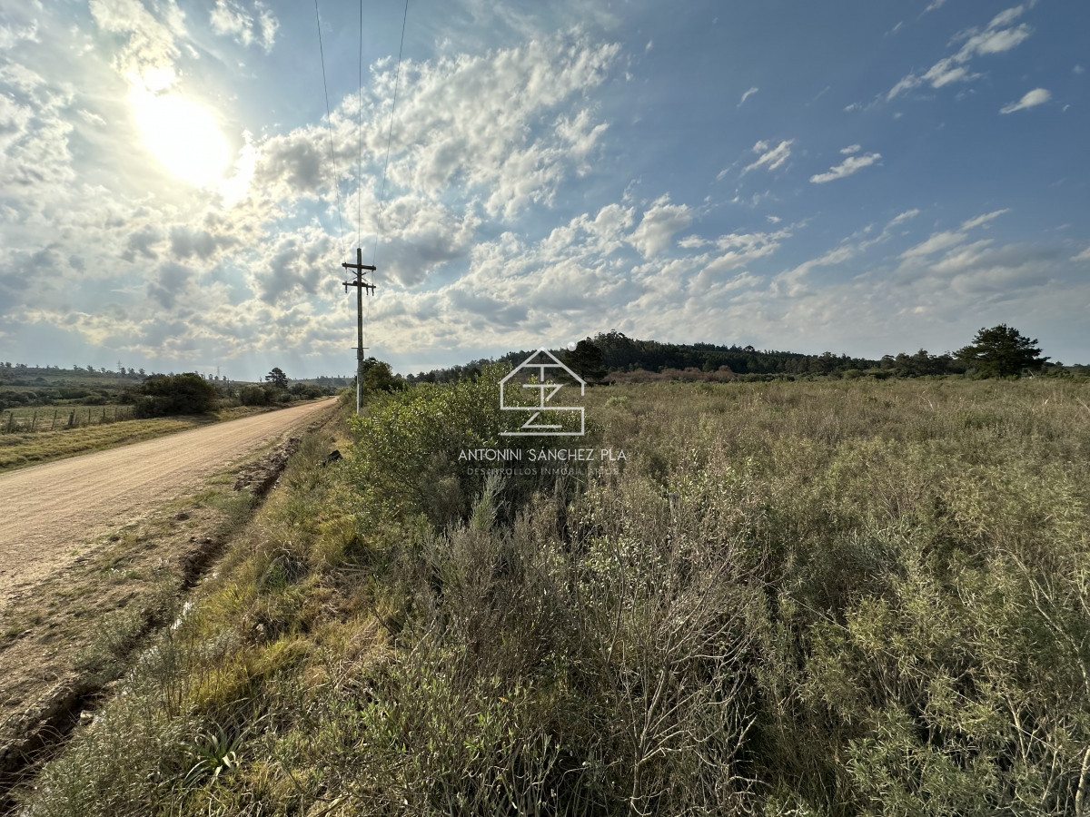 Chacra ID.4481 - Venta chacra Maldonado 