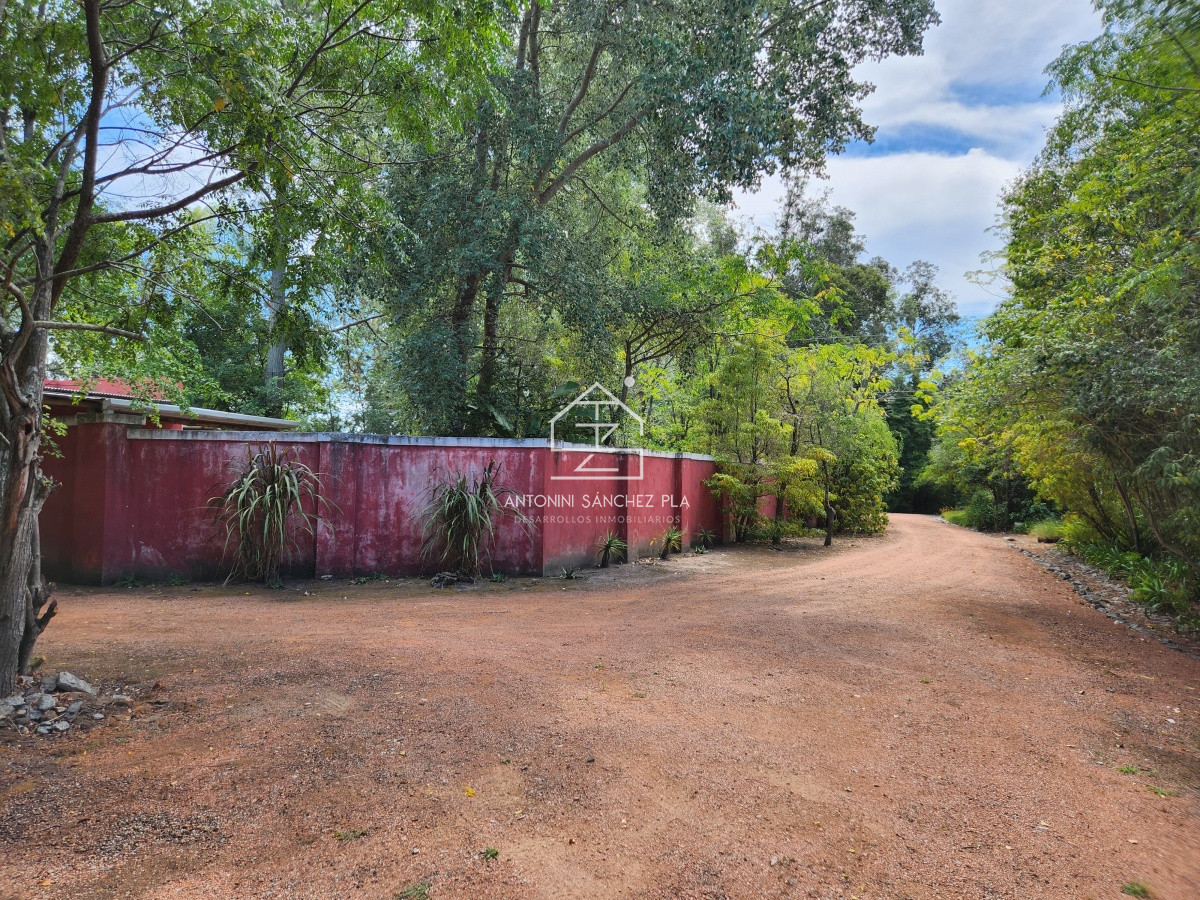 Chacra ID.3976 - Venta chacra tipo quinta, Punta Ballena 