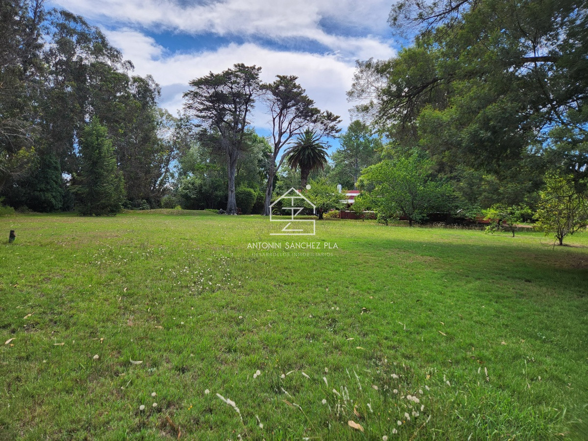 Chacra ID.3976 - Venta chacra tipo quinta, Punta Ballena 