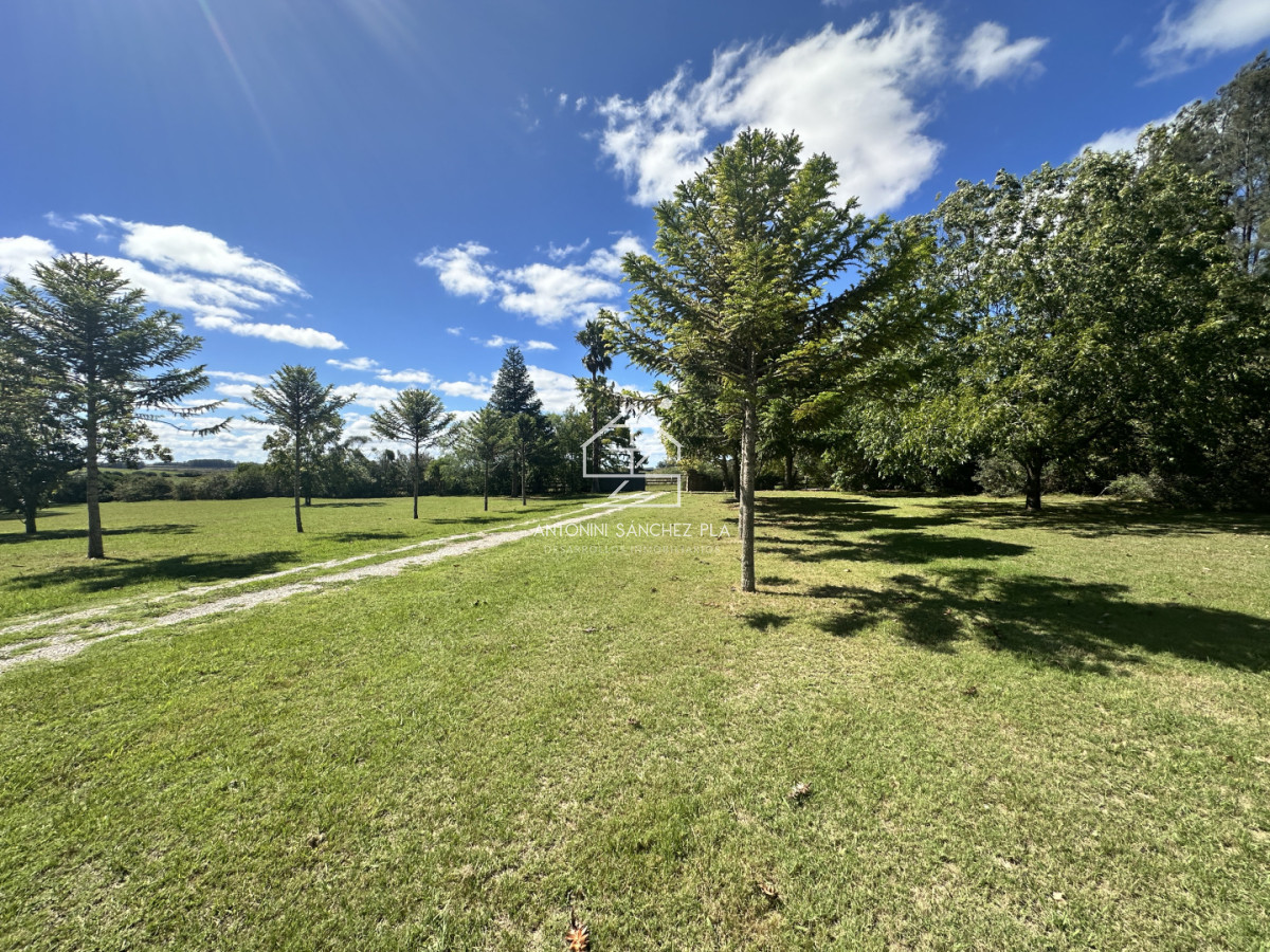 Chacra ID.4149 - Venta chacra en zona cercana a La Pataia. Punta Ballena 