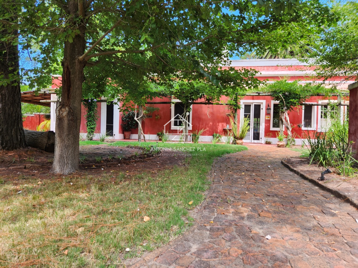 Chacra ID.3976 - Venta chacra tipo quinta, Punta Ballena 