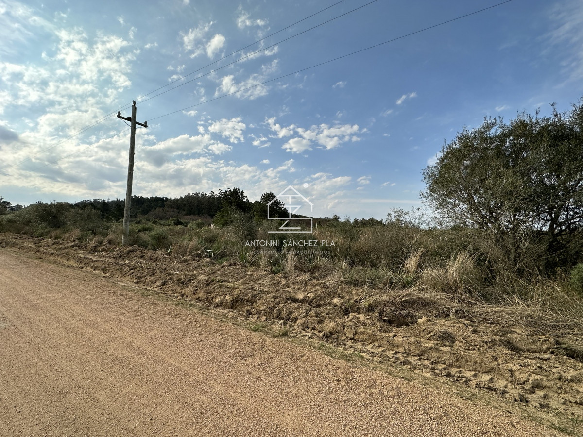 Chacra ID.4481 - Venta chacra Maldonado 