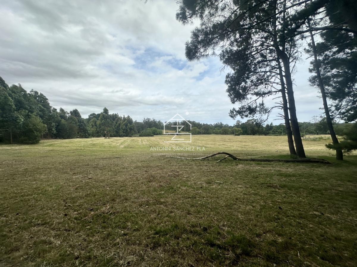 Chacra ID.4046 - Venta chacra en punta Ballena 