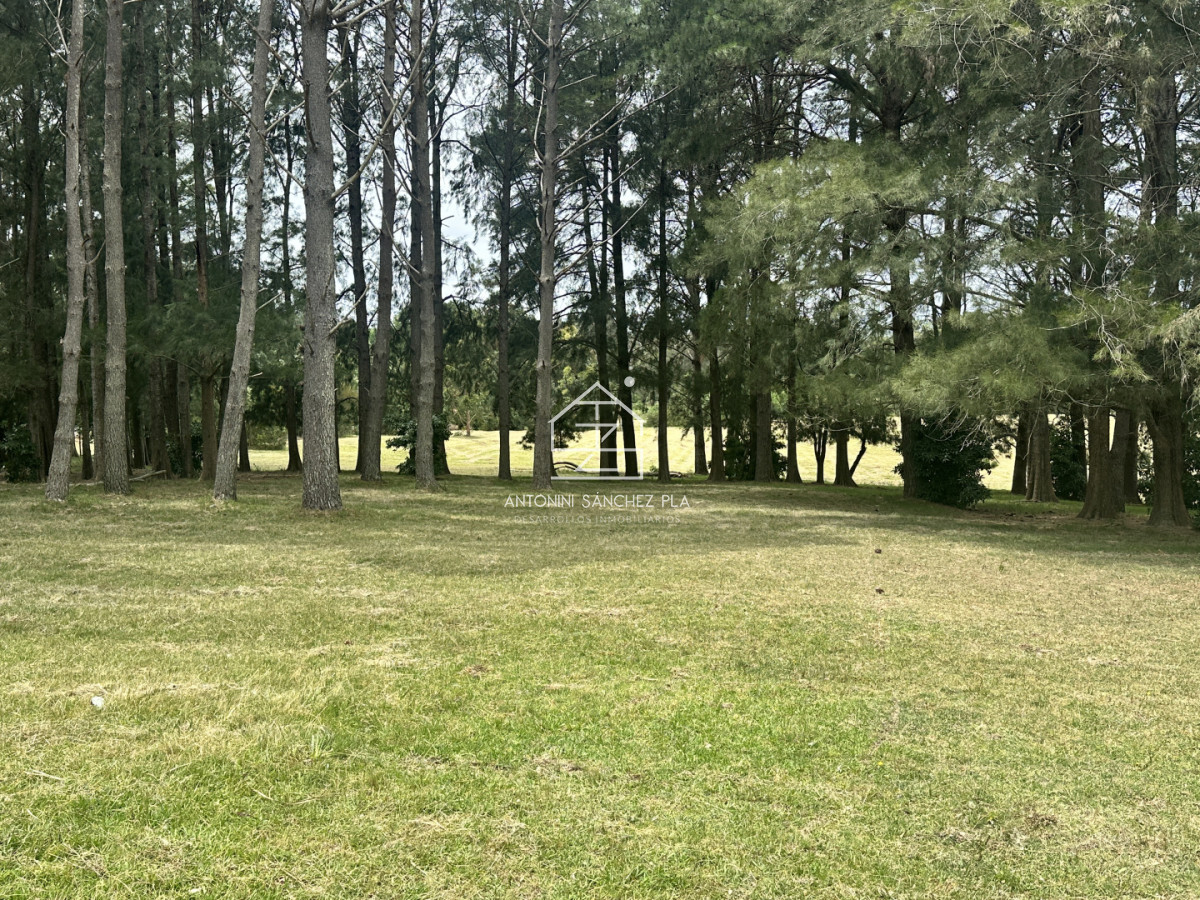 Chacra ID.4046 - Venta chacra en punta Ballena 