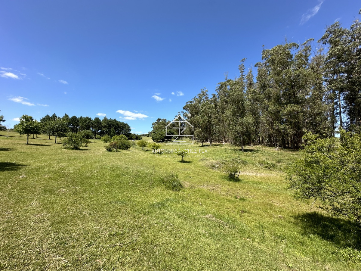 Chacra ID.4327 - Venta chacra en Pueblo Edén. Maldonado 