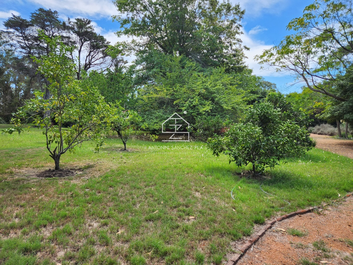 Chacra ID.3976 - Venta chacra tipo quinta, Punta Ballena 