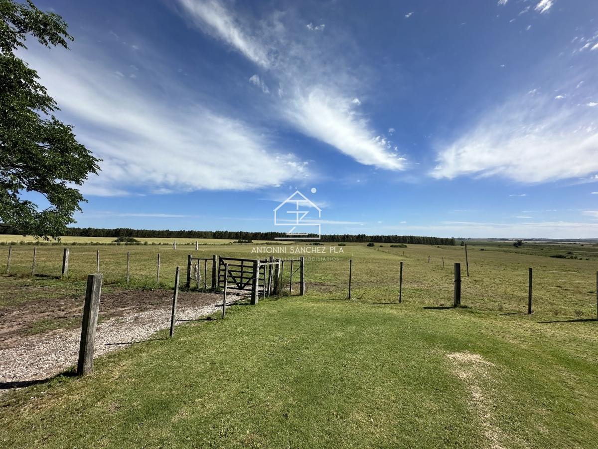 Chacra ID.4047 - Venta chacra Maldonado 