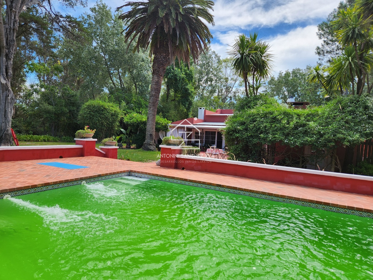 Chacra ID.3976 - Venta chacra tipo quinta, Punta Ballena 