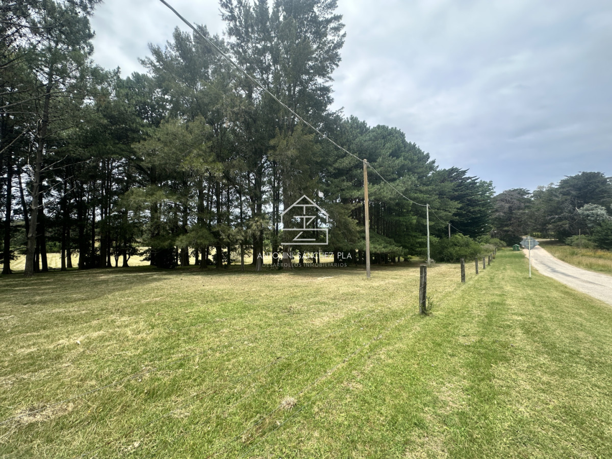 Chacra ID.4046 - Venta chacra en punta Ballena 