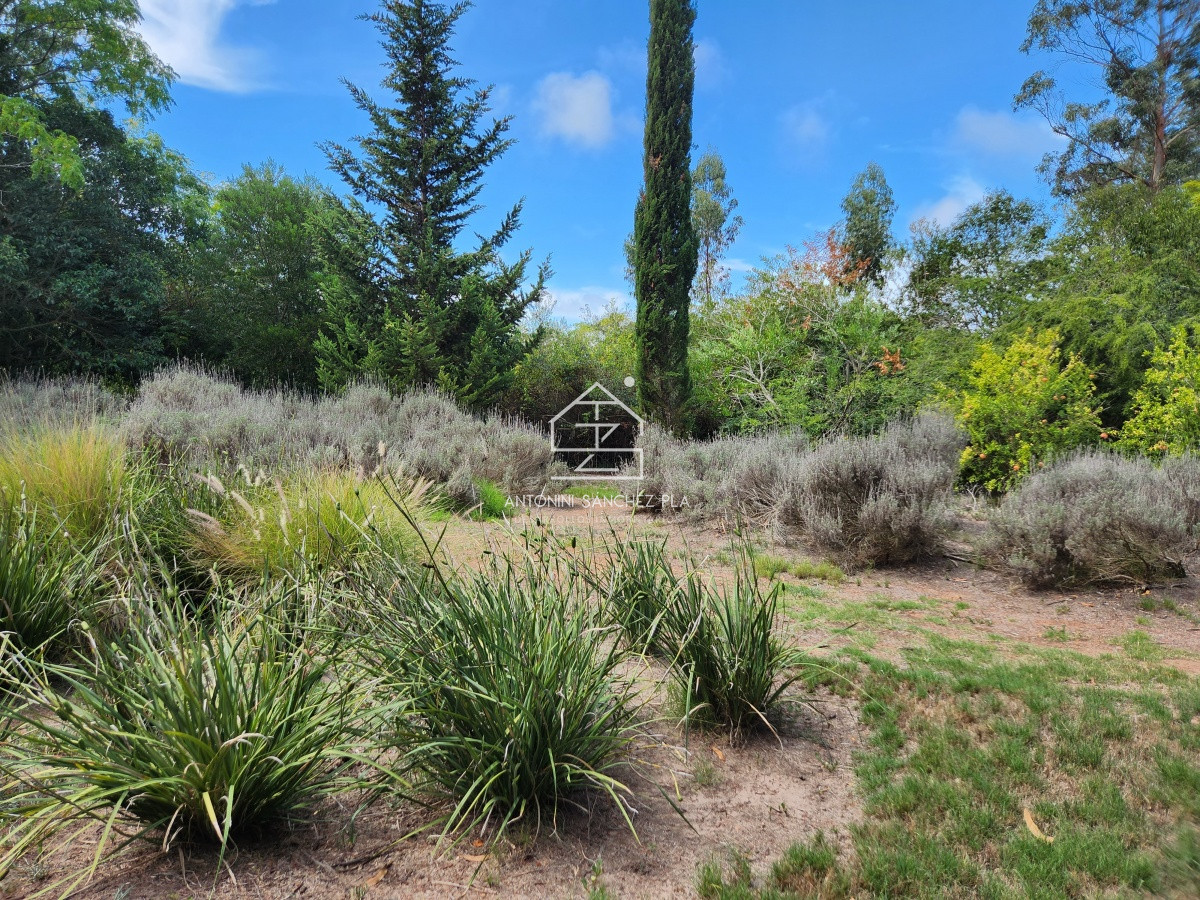 Chacra ID.3976 - Venta chacra tipo quinta, Punta Ballena 