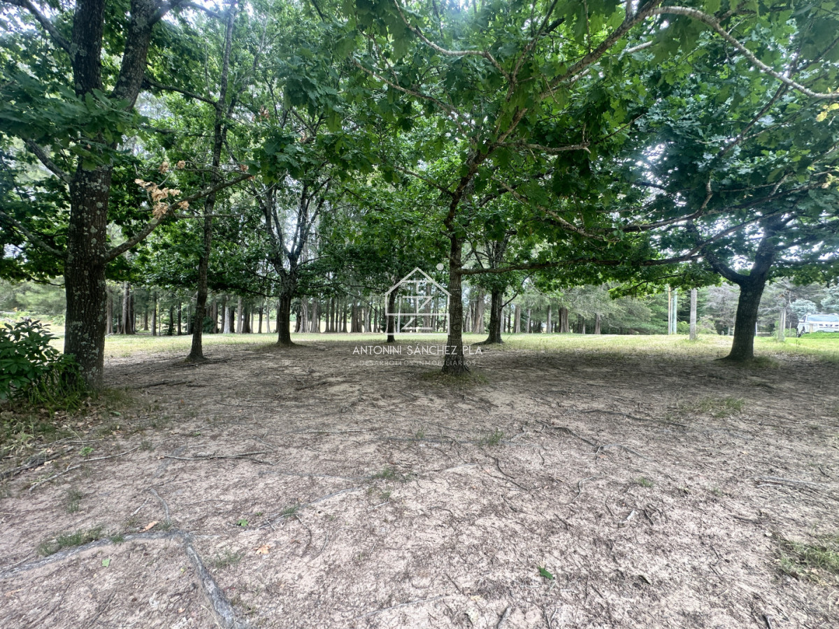 Chacra ID.4046 - Venta chacra en punta Ballena 