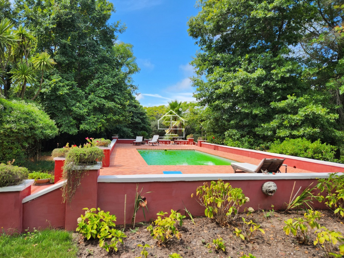 Chacra ID.3976 - Venta chacra tipo quinta, Punta Ballena 