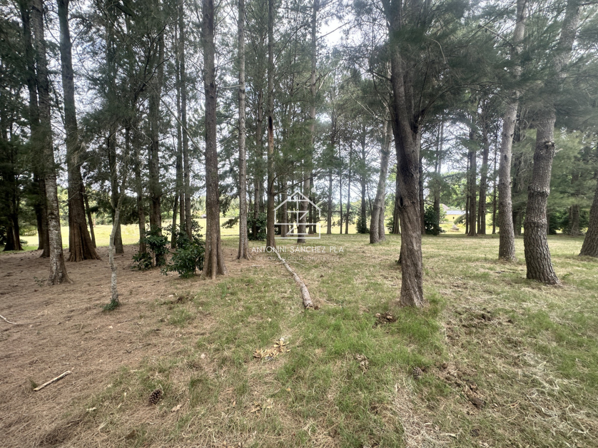 Chacra ID.4046 - Venta chacra en punta Ballena 