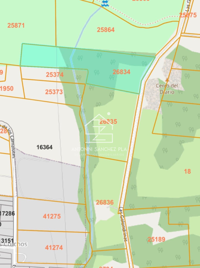 Chacra ID.4045 - Venta chacra sobre camino La pataia Punta Ballena 