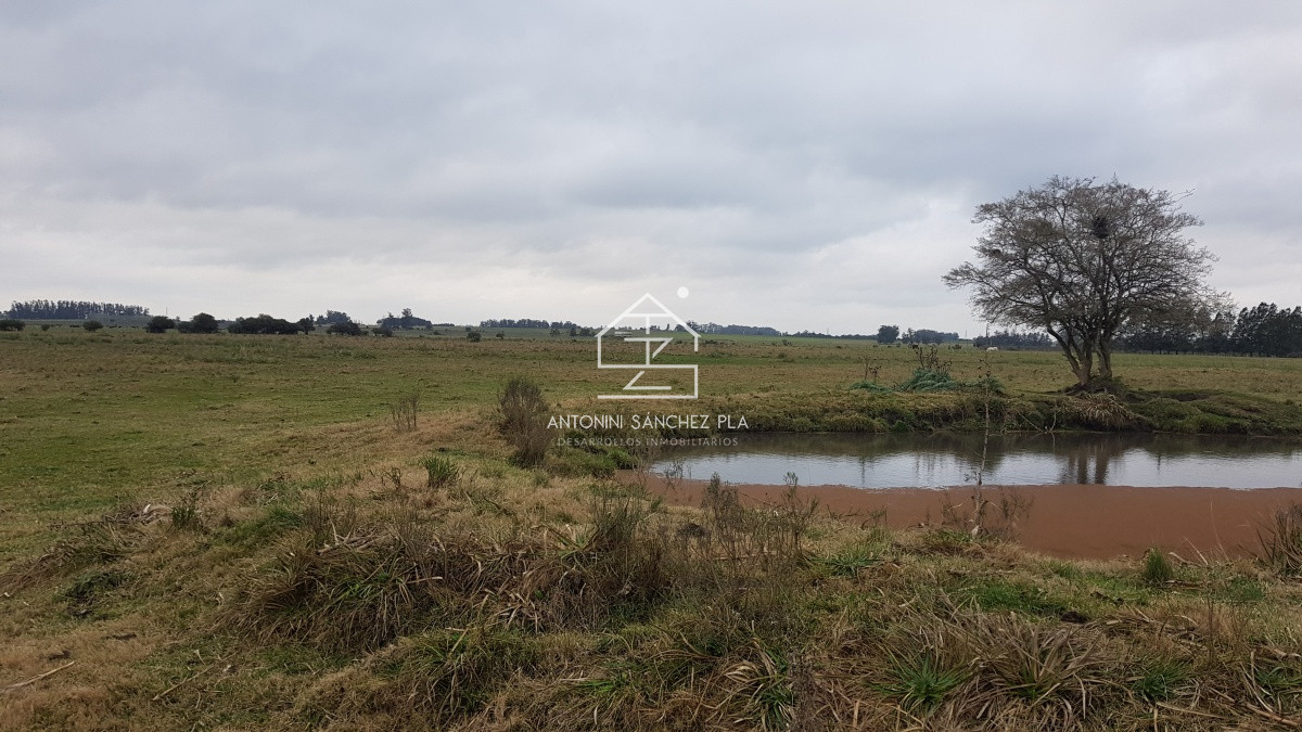 Chacra ID.4517 - Venta chacra en la pataia 