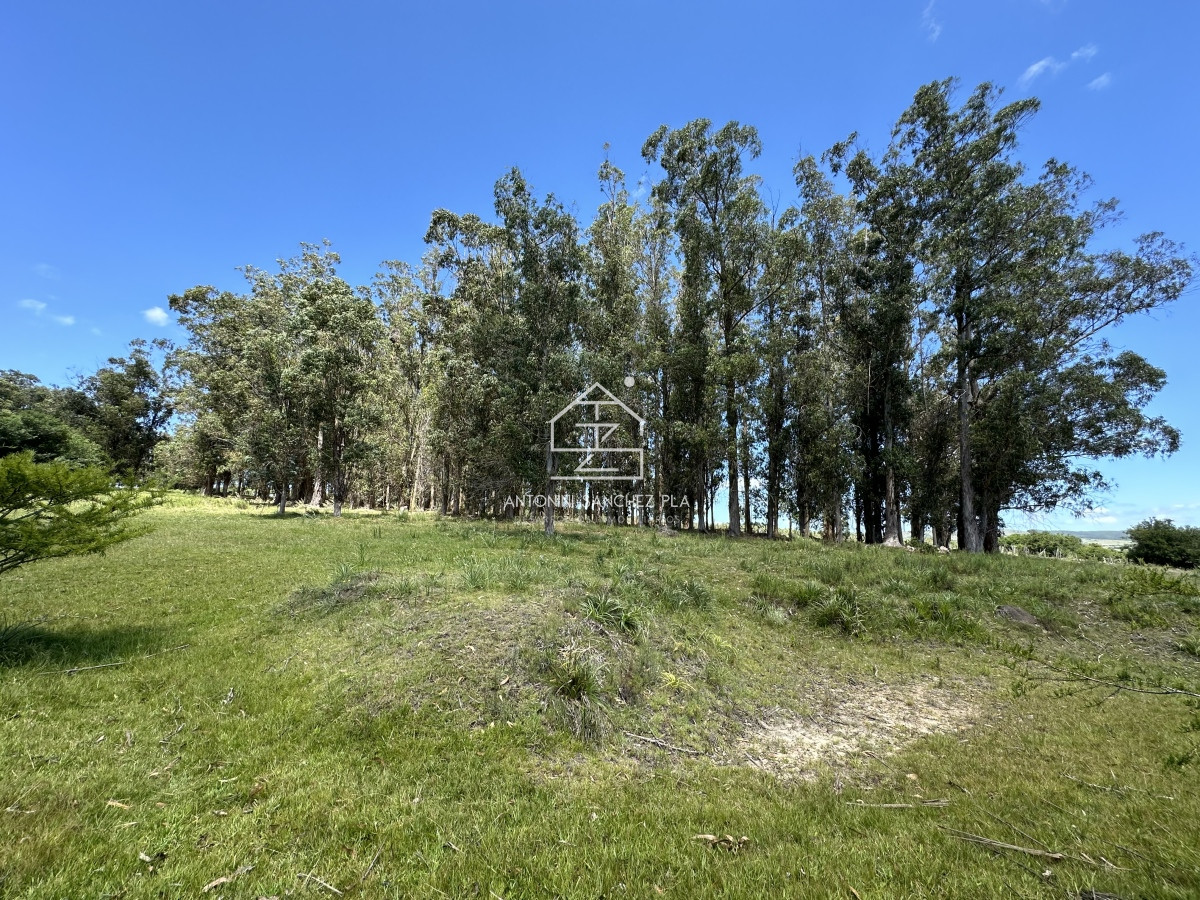 Chacra ID.4327 - Venta chacra en Pueblo Edén. Maldonado 