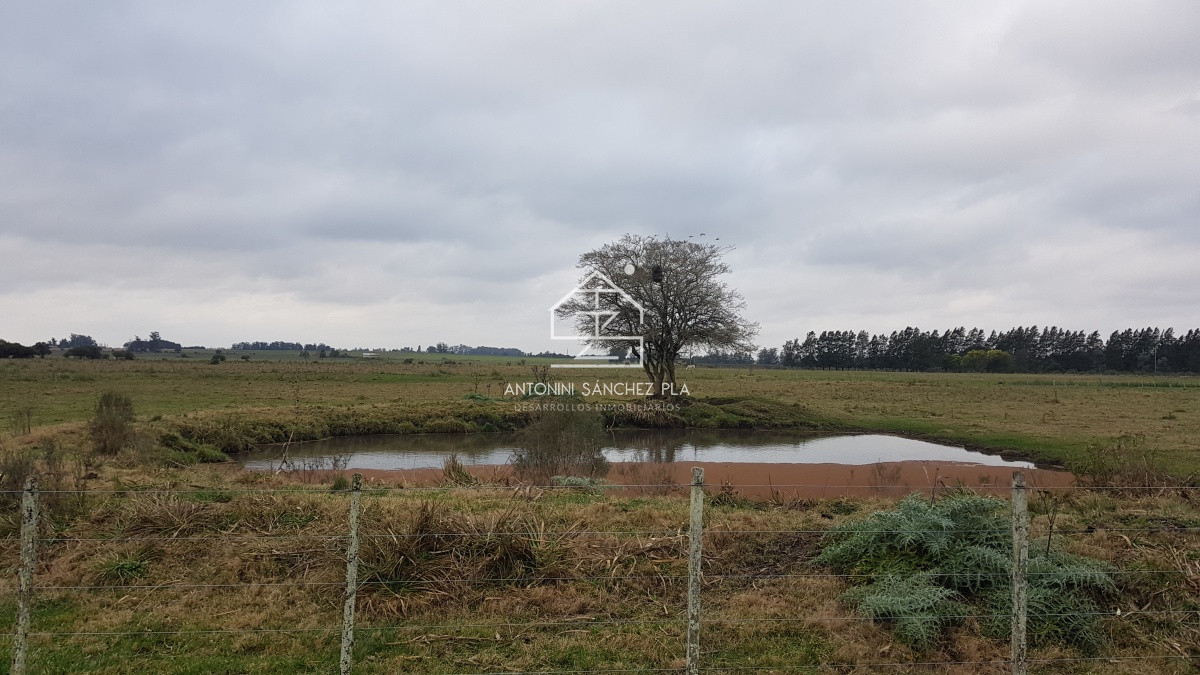 Chacra ID.4517 - Venta chacra en la pataia 