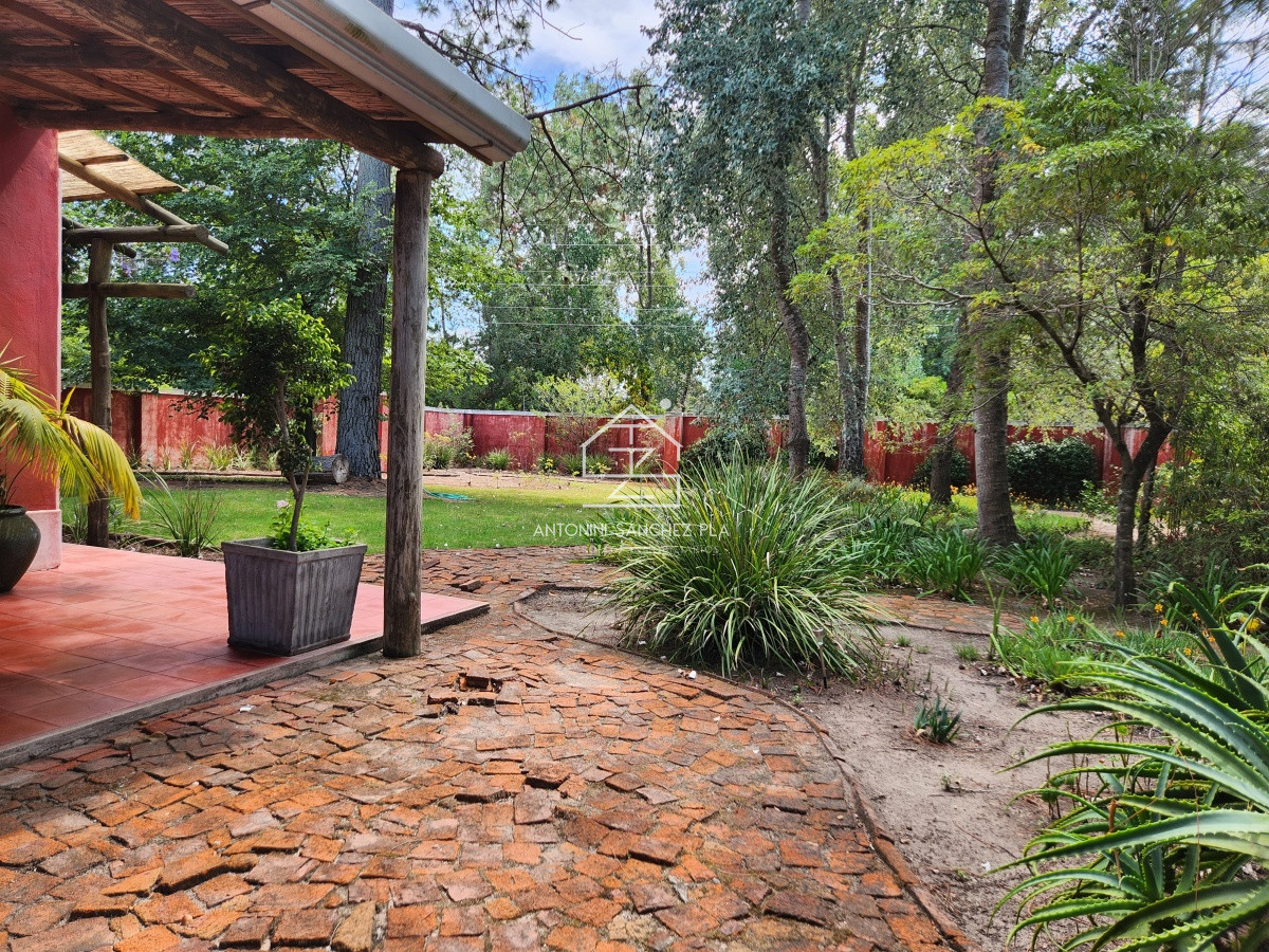 Chacra ID.3976 - Venta chacra tipo quinta, Punta Ballena 