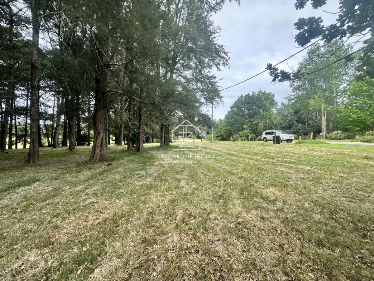 Chacra ID.4046 - Venta chacra en punta Ballena 