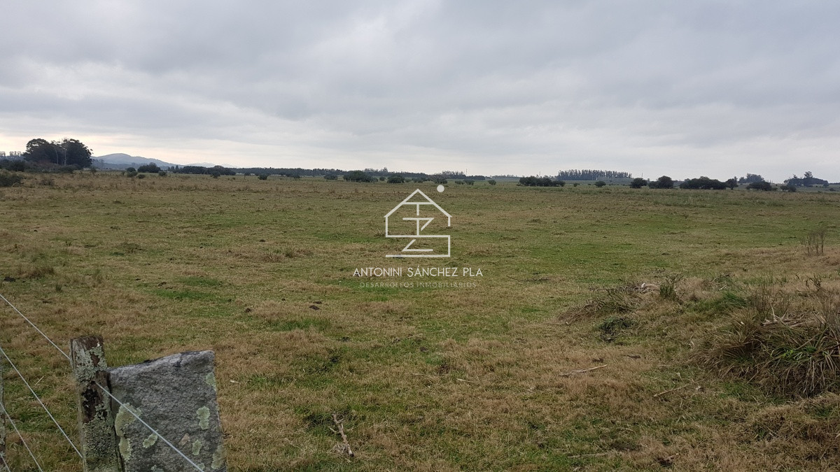 Chacra ID.4517 - Venta chacra en la pataia 