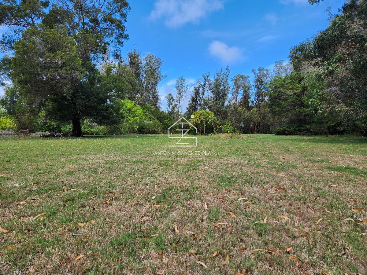 Chacra ID.3976 - Venta chacra tipo quinta, Punta Ballena 
