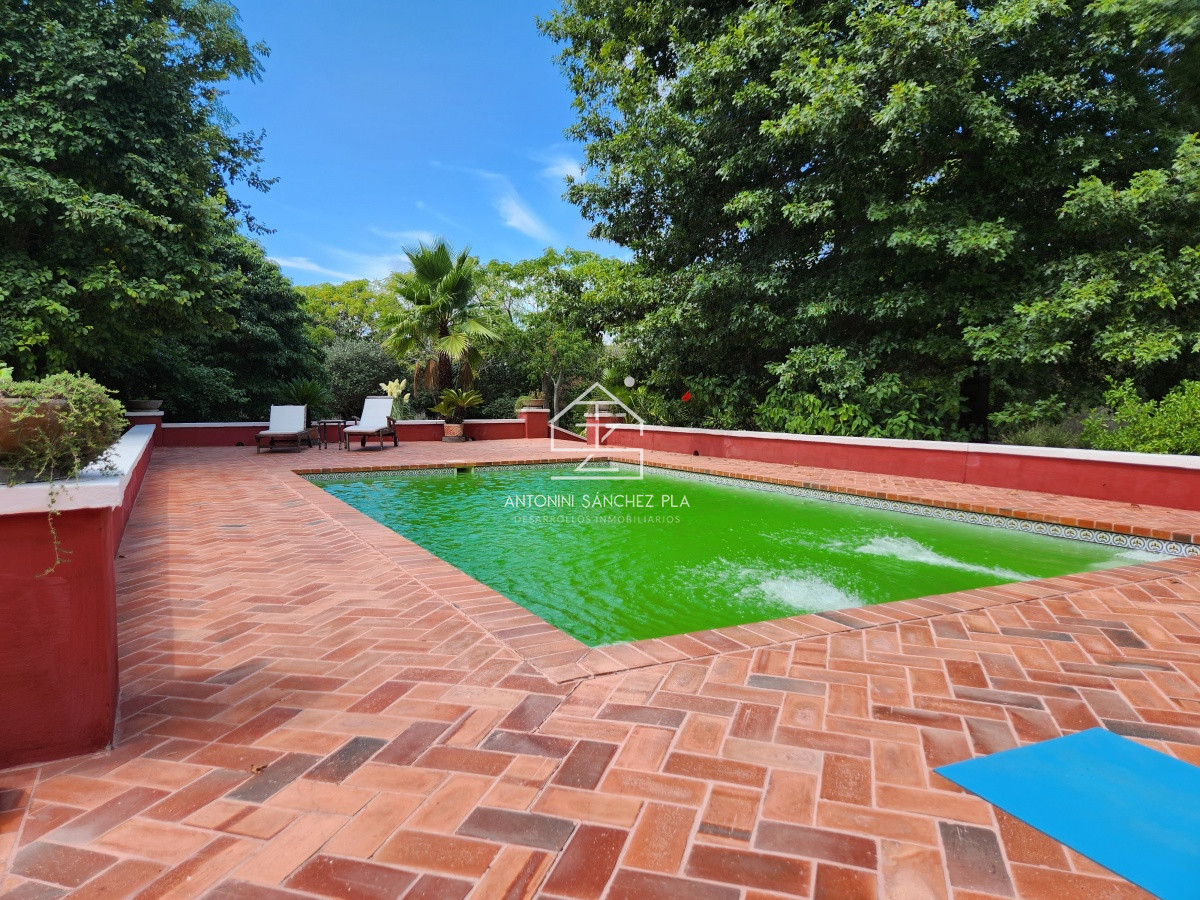 Chacra ID.3976 - Venta chacra tipo quinta, Punta Ballena 