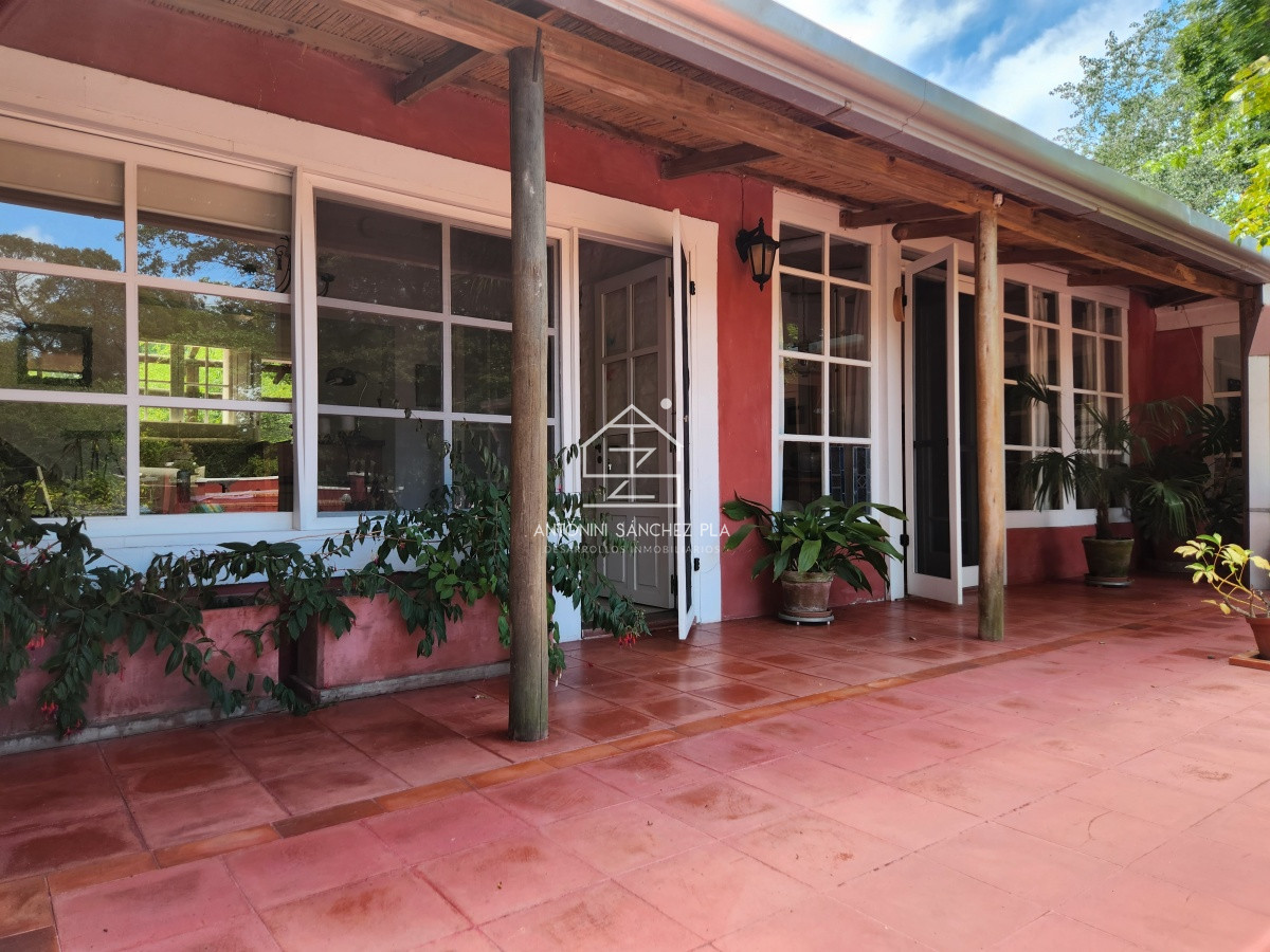 Chacra ID.3976 - Venta chacra tipo quinta, Punta Ballena 