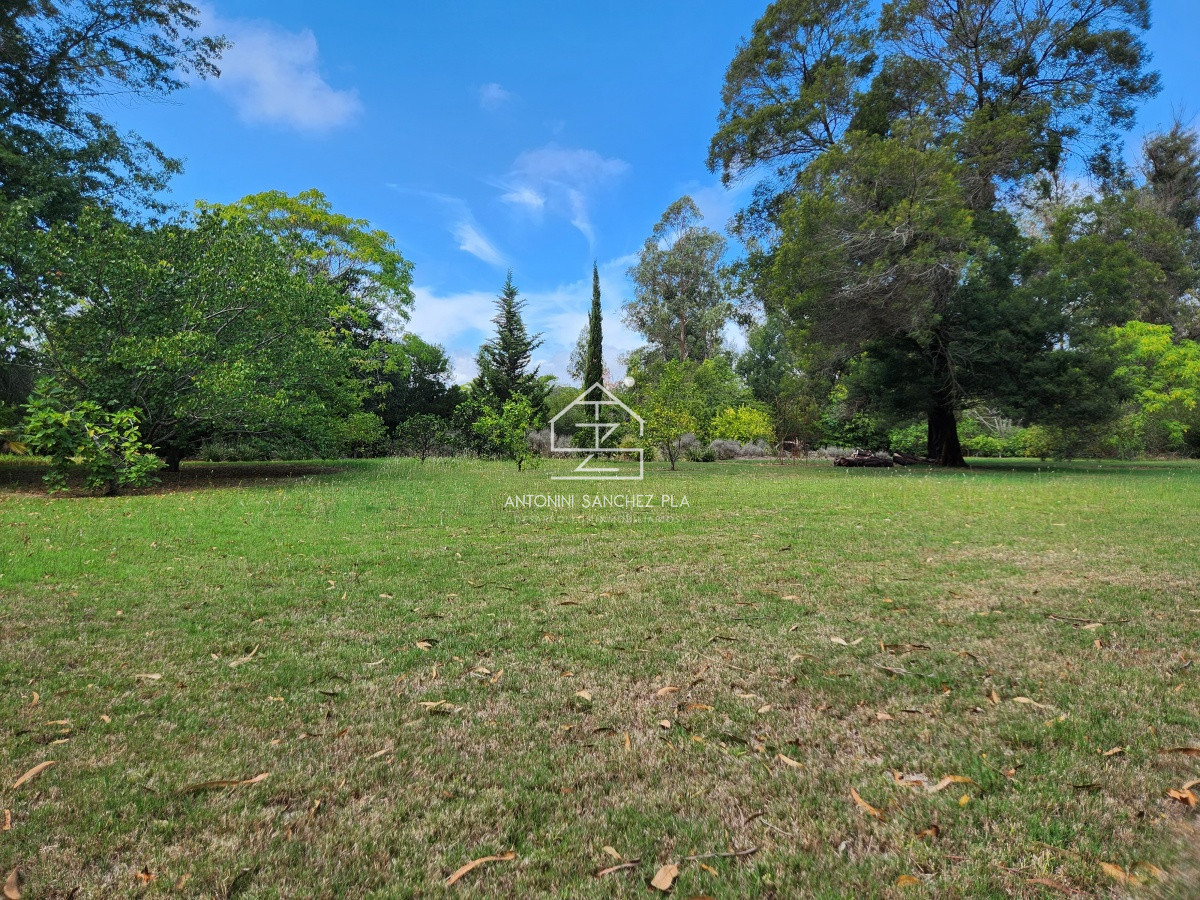 Chacra ID.3976 - Venta chacra tipo quinta, Punta Ballena 