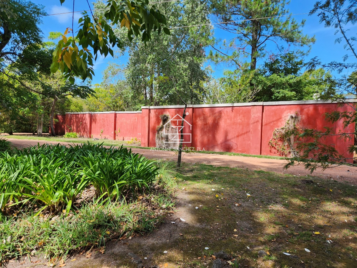 Chacra ID.3976 - Venta chacra tipo quinta, Punta Ballena 