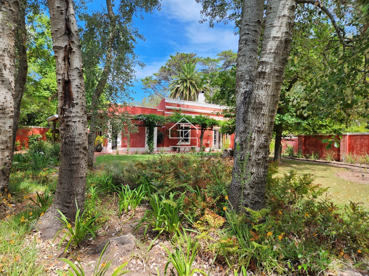 Chacra ID.3976 - Venta chacra tipo quinta, Punta Ballena 