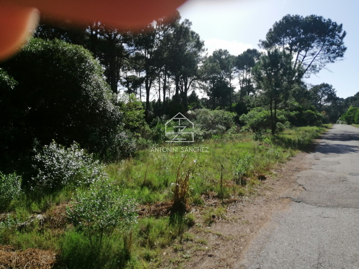 Terreno ID.1718 - Terreno en Punta Ballena, Club del Lago