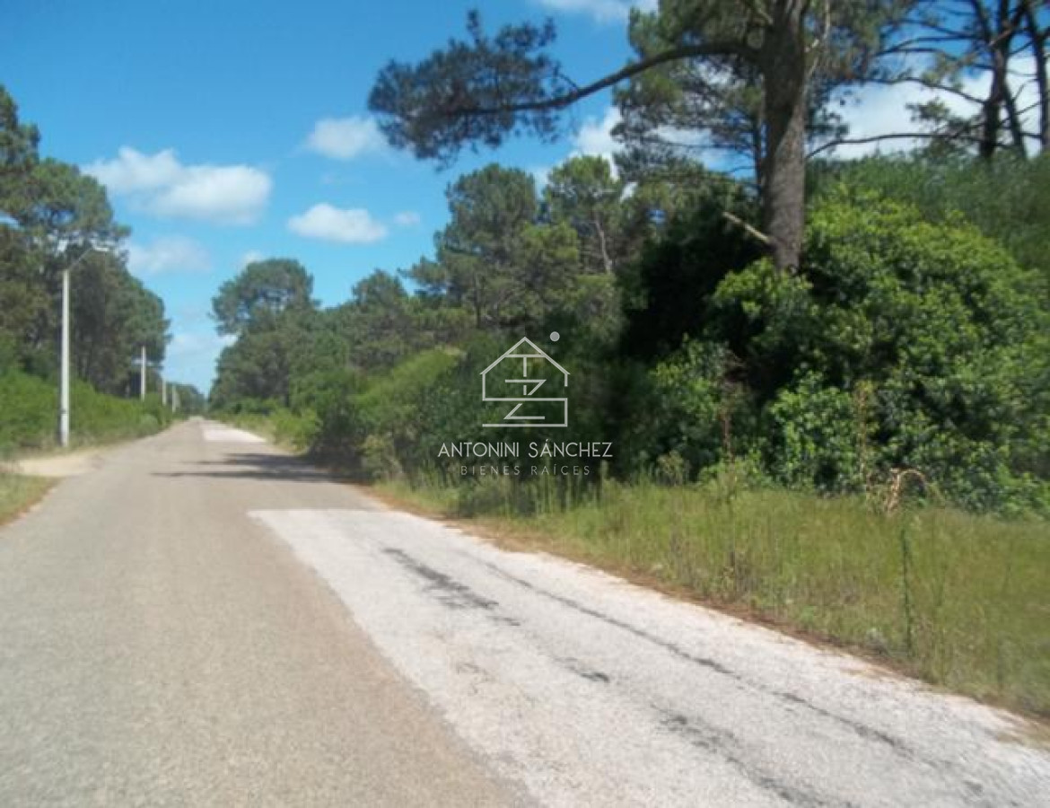Terreno ID.1718 - Terreno en Punta Ballena, Club del Lago