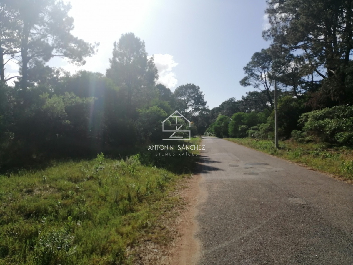 Terreno ID.1718 - Terreno en Punta Ballena, Club del Lago
