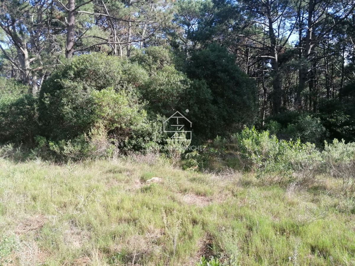 Terreno ID.1718 - Terreno en Punta Ballena, Club del Lago