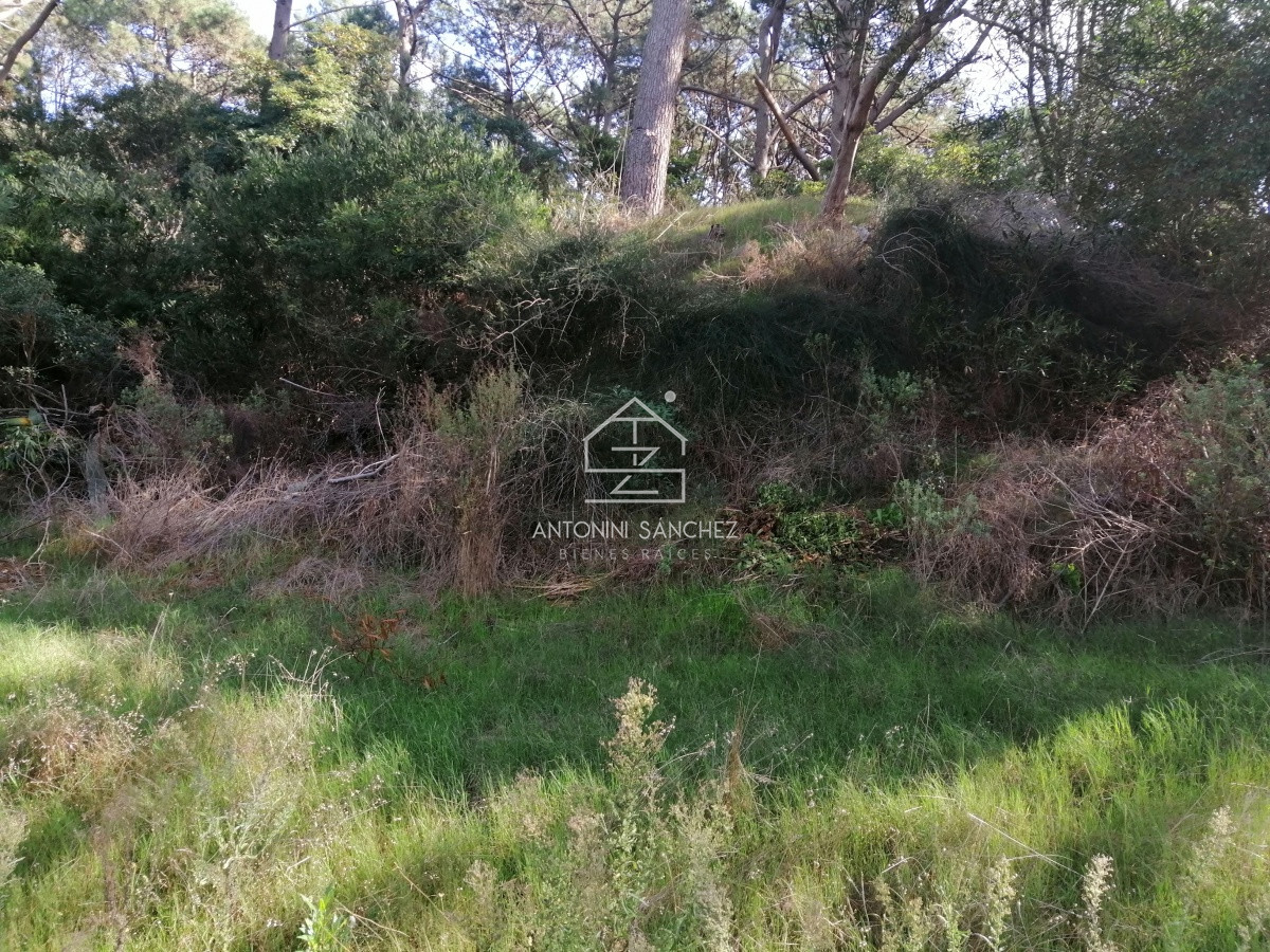 Terreno ID.1718 - Terreno en Punta Ballena, Club del Lago